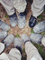 The New Service Wordpress