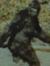 SurlyYeti