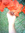 Joy (Aughadan) | 25 comments