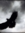 stormhawk | 1175 comments