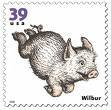 SomePig