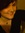 Kim (KimTobash) | 4 comments
