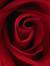 Rose Hardee