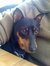 Edie