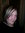 Lynsay Lambert (LynsayL) | 18 comments