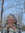 Betsy Connor Bowen