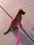 Amy