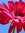 Sharon Oslin | 3 comments