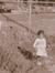 Terrie Sharp