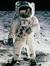 The Fat Astronaut