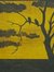 Darrell Madis