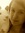 Jennifer