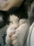 Whitney
