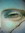 apwebb83