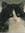 2807560