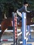 Aqua Horse