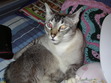 Francine