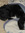 Monica Sack