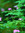 Jennifer FL | 43 comments