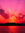 Luce | 53 comments