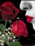 Imad imad