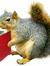 Honey-Squirrel