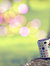 ♫Huneeya♥