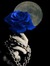+Blue+