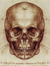 Bones