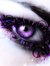 PurpleObsessor_15
