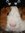 Gus (GusBus) | 114 comments