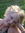Maryann