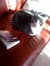 Christina (Reading Extensively)