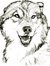 Werewolf☆Vi☆Iran♥