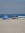 Sandy