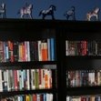 Jennifer (Books&Barks)