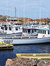Venassa