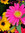 Stacie | 1 comments