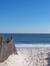 Sandy W