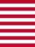 Serving Patriot