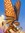 Jeff Watson | 103 comments