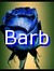 Barbara