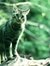 Miles Zarathustra