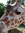 Patty | 137 comments
