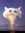 Jed (specklebang) | 105 comments
