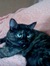 Joyce