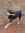 Tim