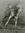 4455211