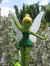 Donna Allen