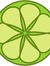 lime-lightdesigns.com Shel Holliday